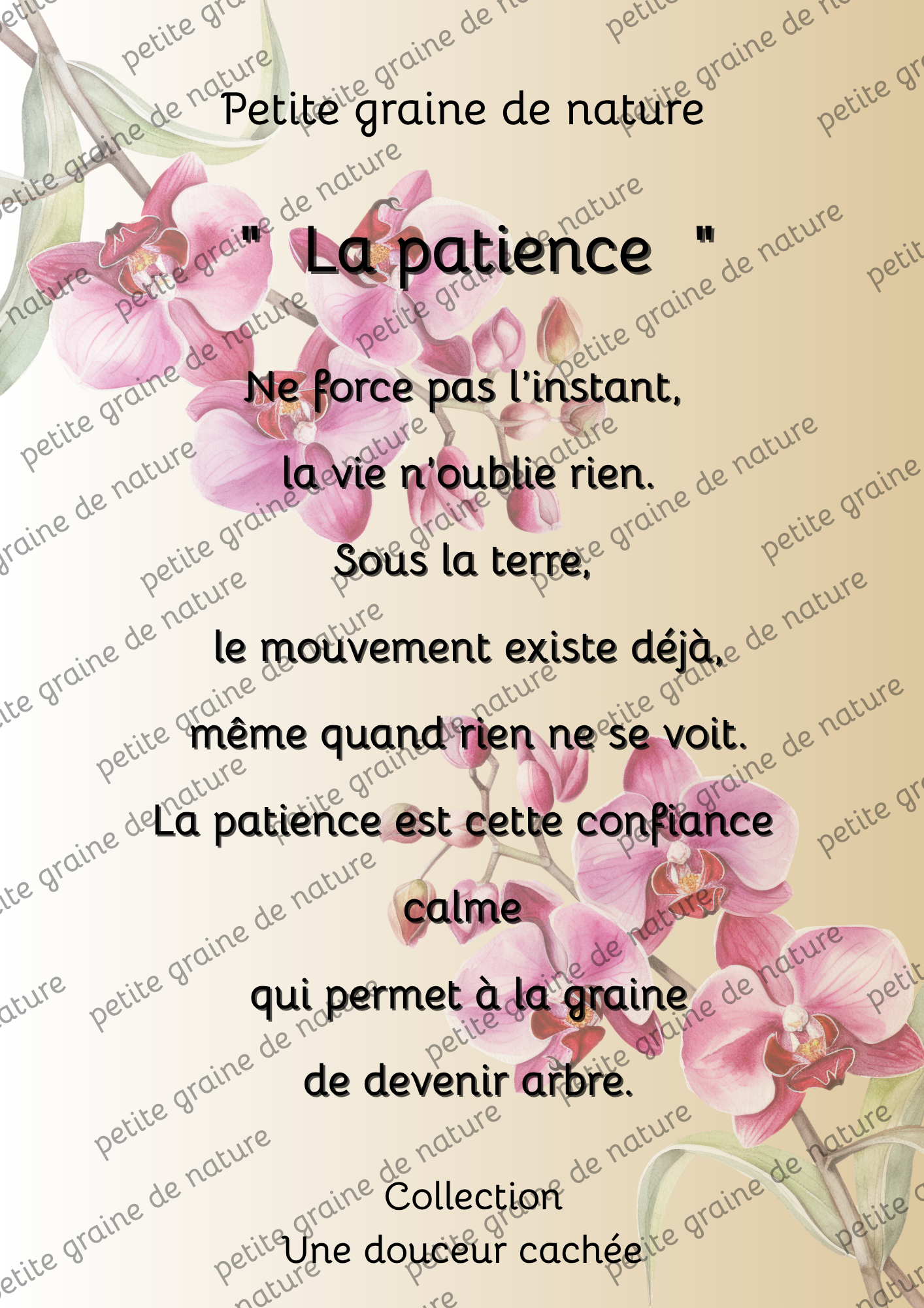 Cadre bois Motivation Confiance – Décoration Murale Inspirante-20 thèmes différents aux choix