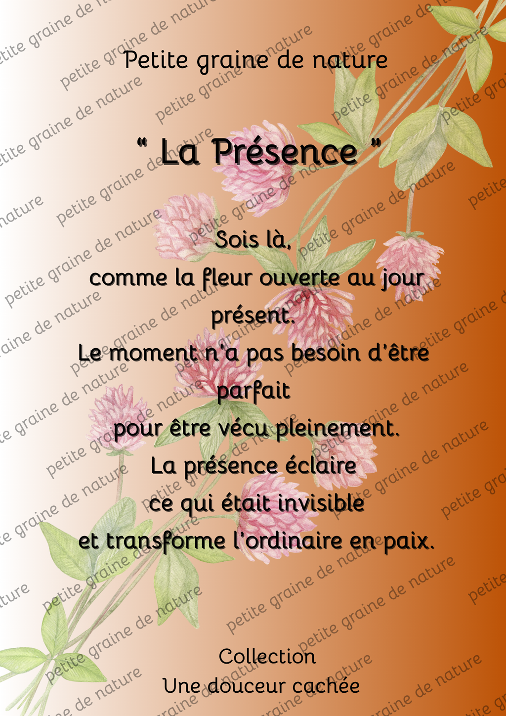 Cadre bois Motivation Confiance – Décoration Murale Inspirante-20 thèmes différents aux choix