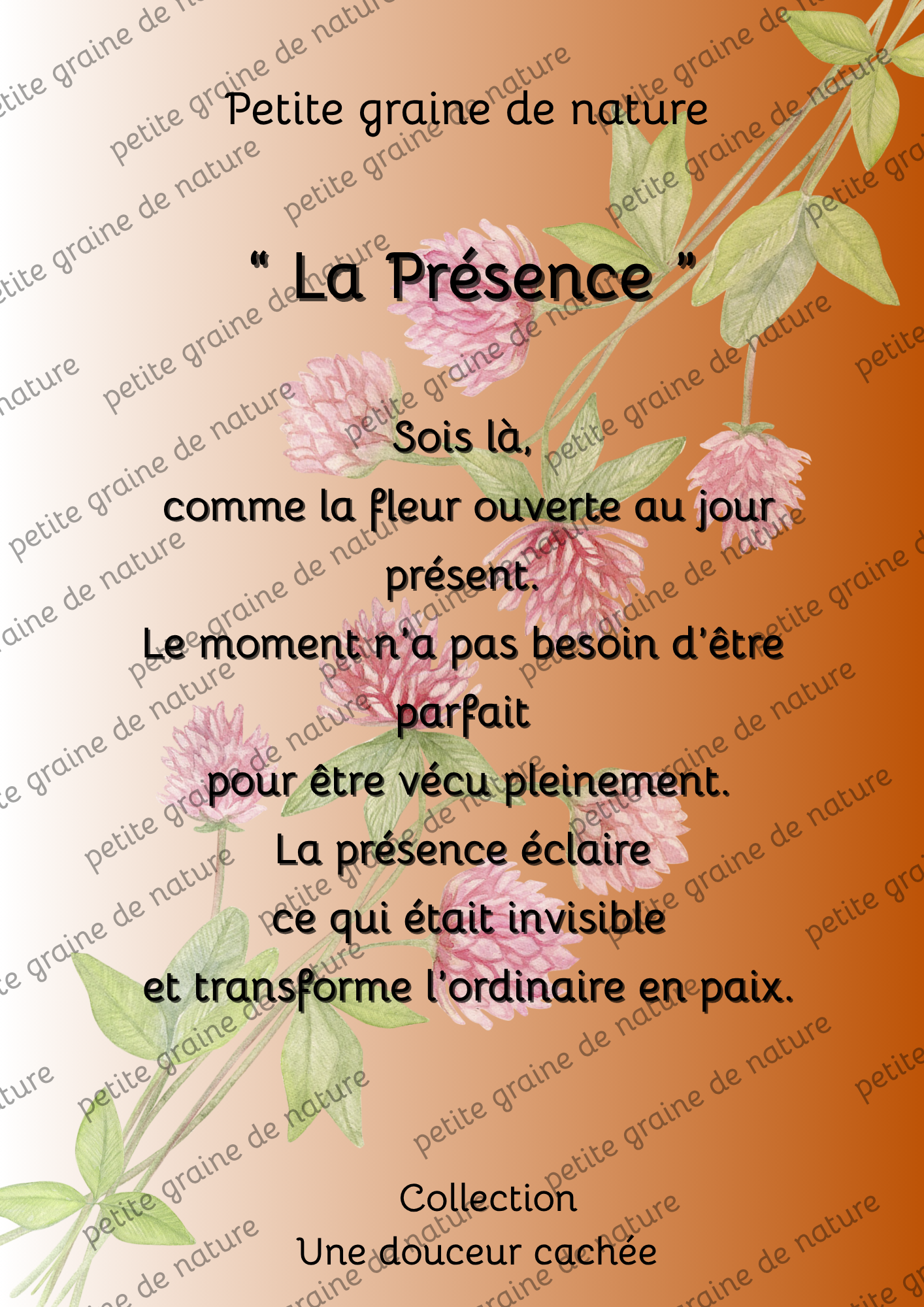 Cadre bois Motivation Confiance – Décoration Murale Inspirante-20 thèmes différents aux choix