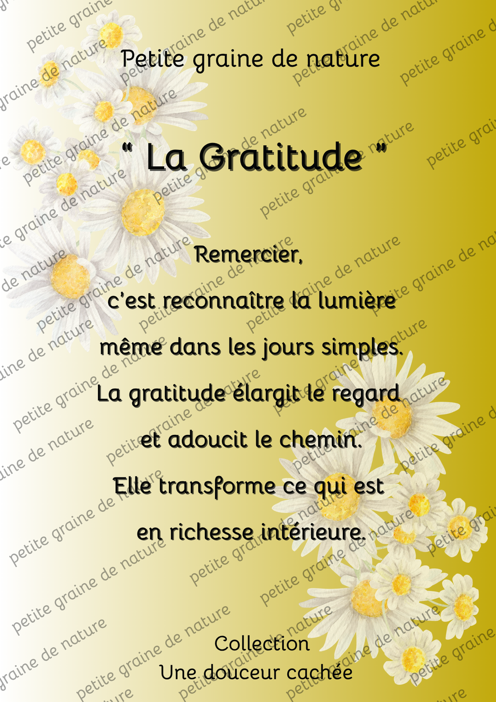 Cadre bois Motivation Confiance – Décoration Murale Inspirante-20 thèmes différents aux choix