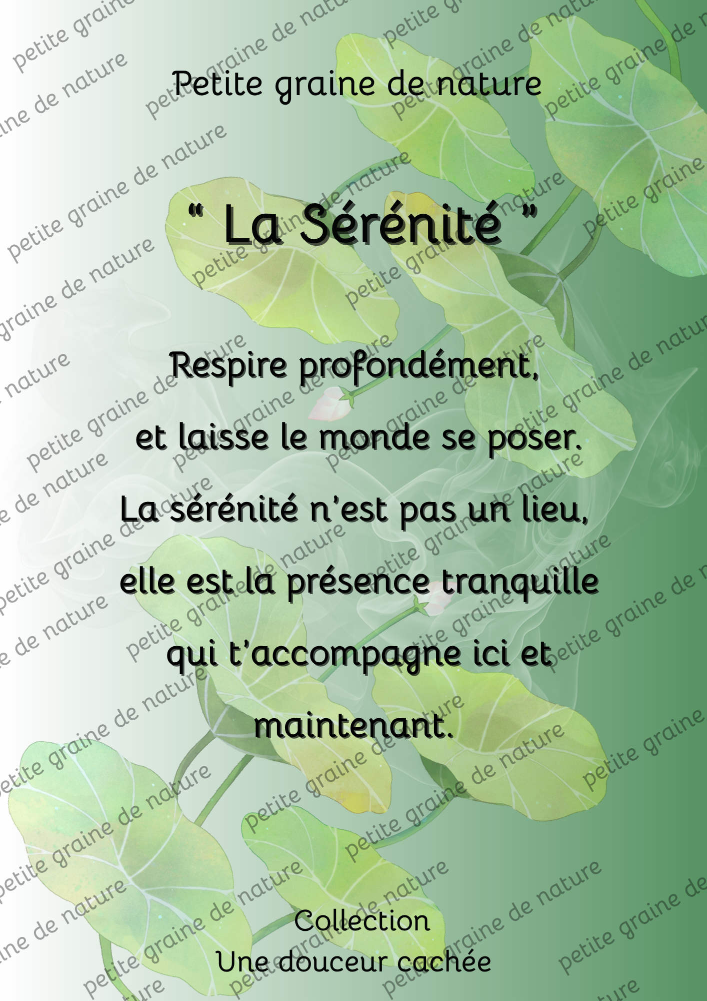 Cadre bois Motivation Confiance – Décoration Murale Inspirante-20 thèmes différents aux choix