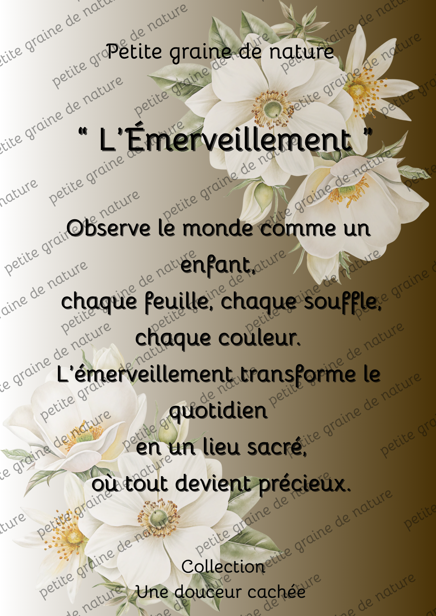 Cadre bois Motivation Confiance – Décoration Murale Inspirante-20 thèmes différents aux choix