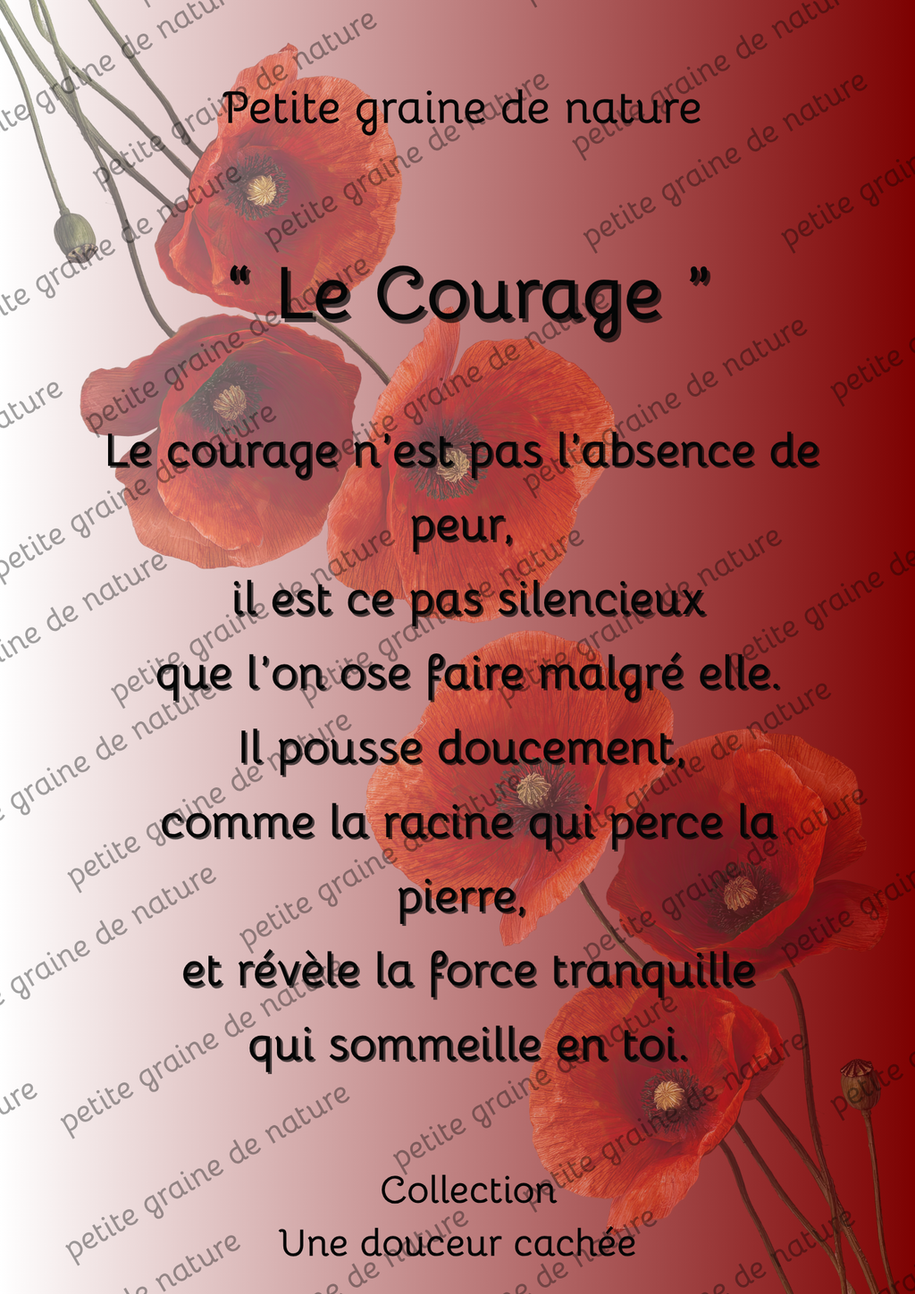 Cadre bois Motivation Confiance – Décoration Murale Inspirante-20 thèmes différents aux choix